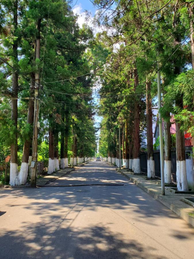 Maka Bed & Breakfast Ureki Luaran gambar