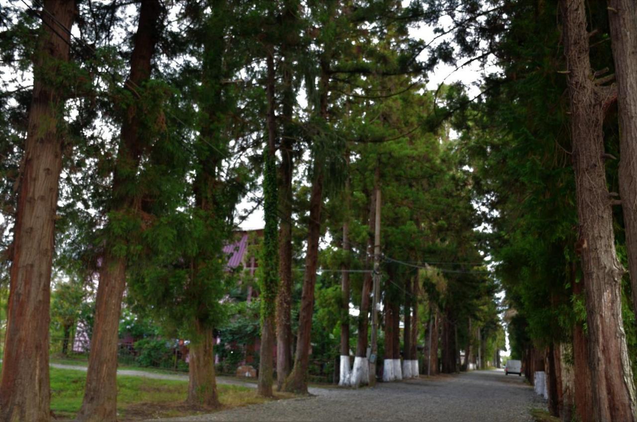 Maka Bed & Breakfast Ureki Luaran gambar